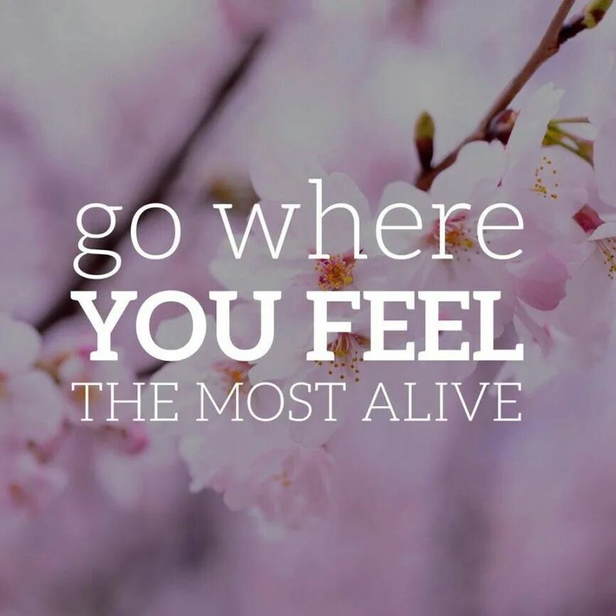 Feeling go песня. Feel Alive the most. Spring in the Air. Go where you feel the Alive. Go where you feel most Alive перевод.
