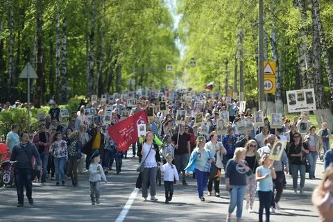 Московская область 9 мая