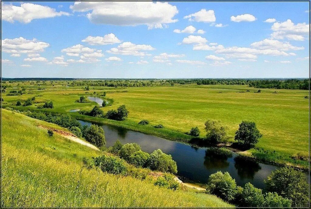 Гладкая поверхность края. Курск природа река Сейм. Курская равнина. Формы земной поверхности Курской области. Земная поверхность Курской области.