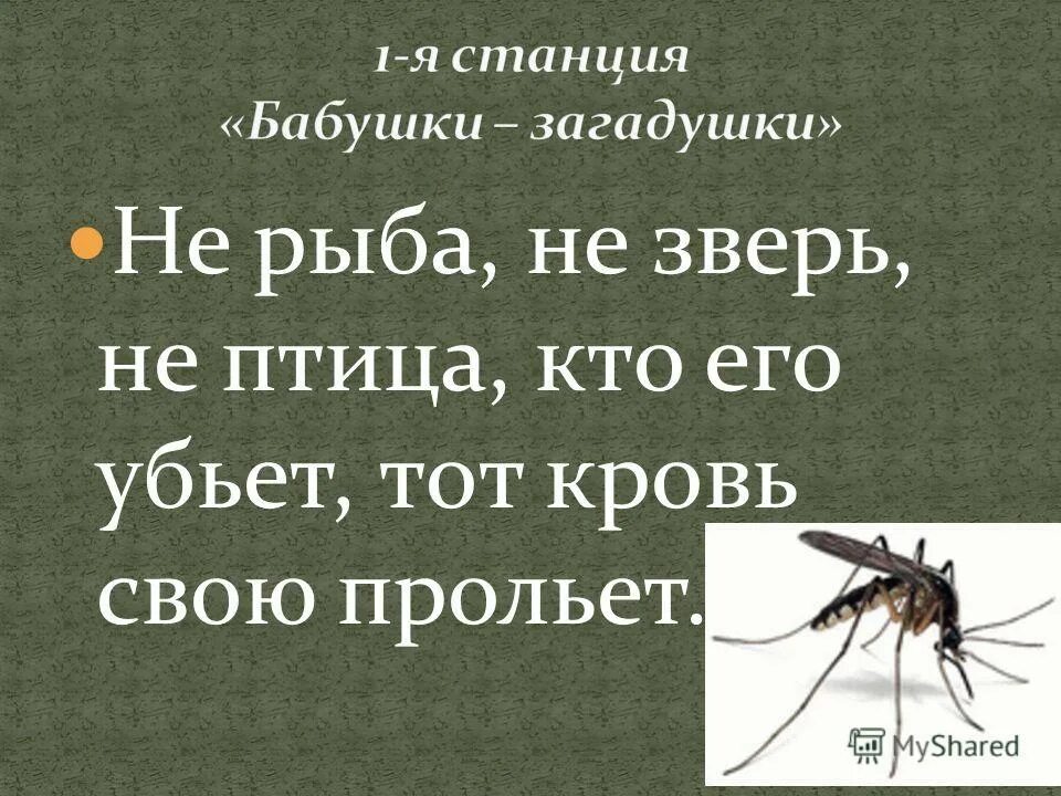 Максим абрамов скейтборд. Без ног без рук на брюхе ползет. Человек лежит лицом вниз упал. Скейтер без ног максим абрамов. Без ног без рук на брюхе ползет.