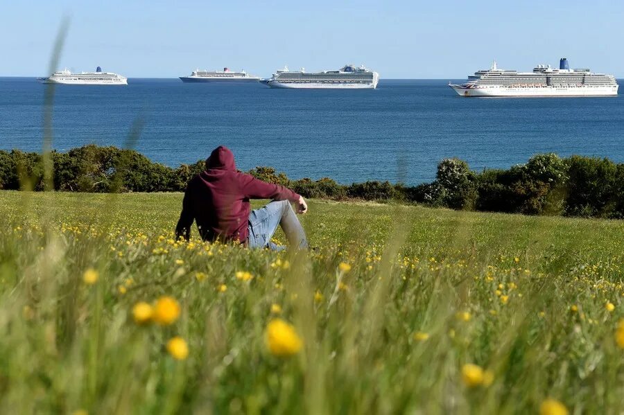 Мимо проплывают пароходы. Корабль проплывает мимо. MV Ventura. Пингвины провожают пороход. Круиз проплывает мимо.