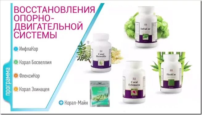 Coral system. Корал клаб. Корал Босвеллия. Программы кораллового клуба. Босвеллия Корал клаб.