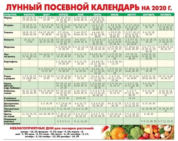 Дни посадки картофеля в апреле. Лунный посевной календарь для посева рассады. благоприятные дни для рассады. благоприятные дни для пересадки. благоприятный месяц для посадки.