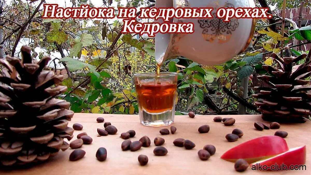 Как сделать кедровую настойку на самогоне
