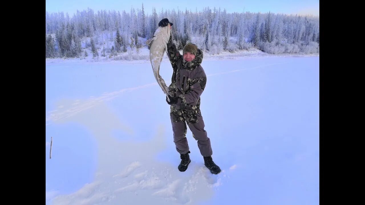 Охота и рыбалка на севере видео. Зимняя рыбалка в Якутии на налима. Подледная рыбалка в Якутии. Зимняя рыбалка на налима в Якутии видео. Зимняя рыбалка на севере Якутии.