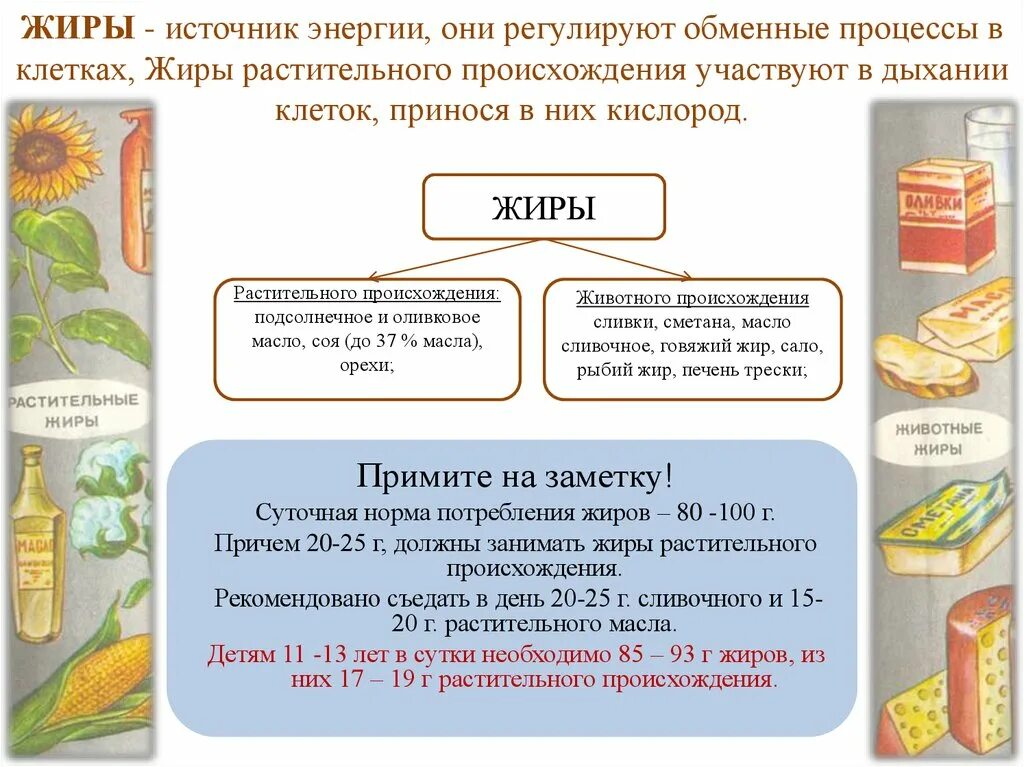 Жиры характеризуются. Источники растительных жиров. Растительные и животные жиры. Жиры ратсительногопроисхождения. Жиры животного и растительного происхождения.