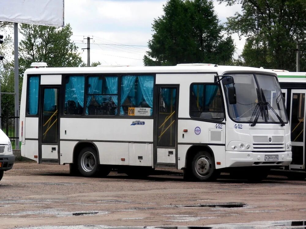 Автобус 442 пермь. 442 Автобус. Автобусы Дедовичи. 442 Автобус Ликино Пионерская. Маршрутка Санкт-Петербург Дедовичи отзывы.