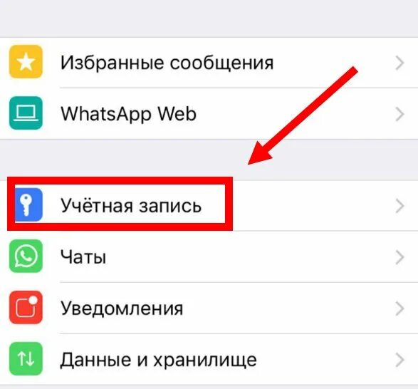 Что такое код безопасности в ватсапе. Ваш код безопасности с пользователем изменился в ватсапе. Приватность в ватсапе. Код безопасности с пользователем изменился что значит в ватсапе. Время в ватсапе не меняется