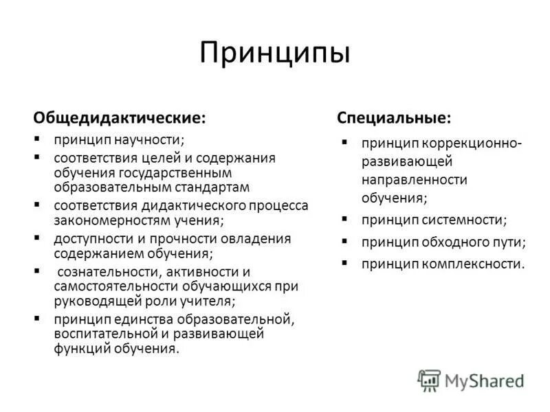 общедидактические принципы обучения русскому языку