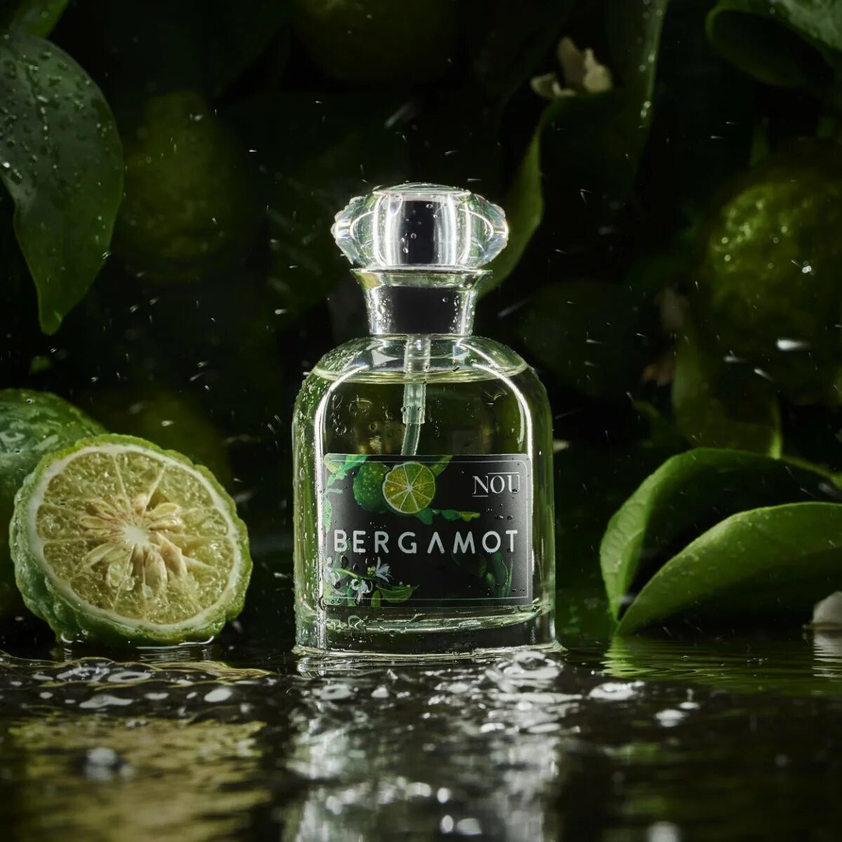 Бергамот как пахнет. Бергамот цитрус. Bergamot Парфюм. Духи с лимоном и бергамотом. Духи с бергамотом и цитрусом.