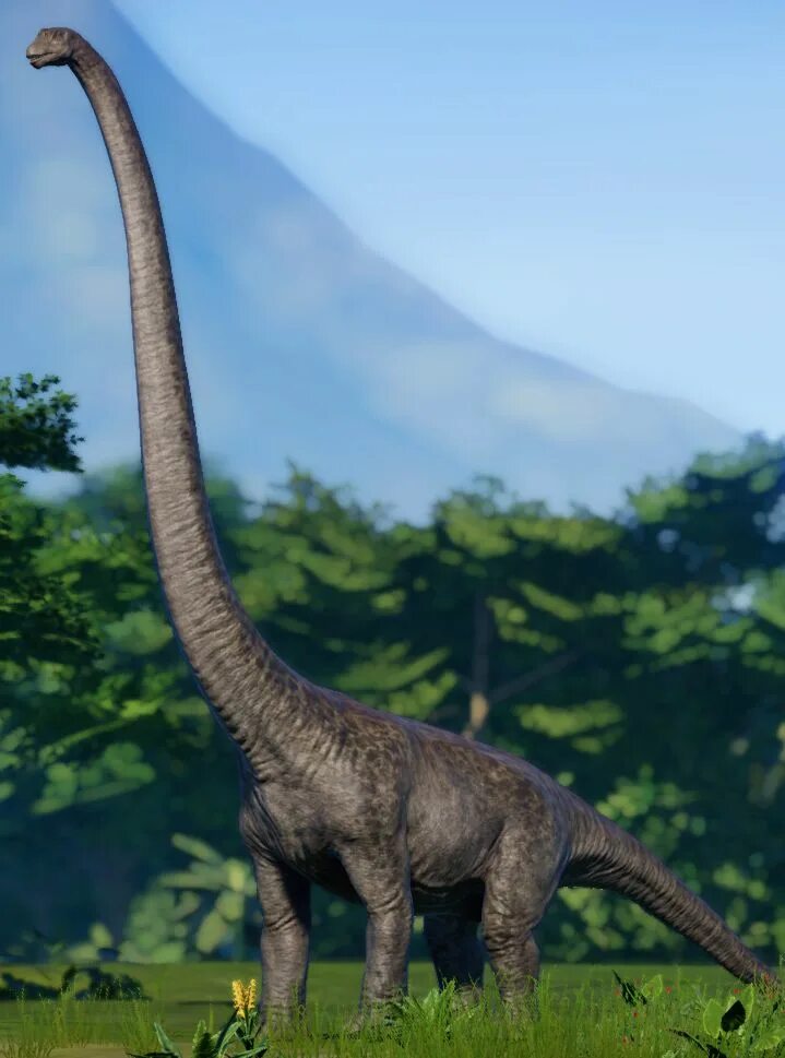 Длинношеий динозавр. Маменчизавр Диплодок. Зауропод Маменчизавр. Брахиозавр и Диплодок. Маменчизавр динозавр.