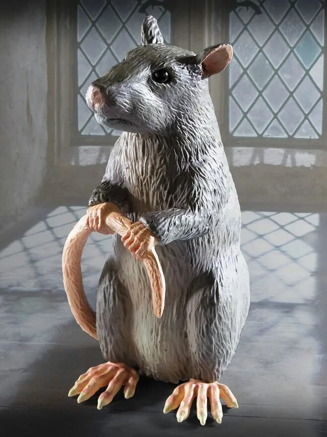 крыса рона уизли. крыса короста из гарри поттера. крыса короста из гарри поттера. руперт гринт узник азкабана. короста из гарри поттера.