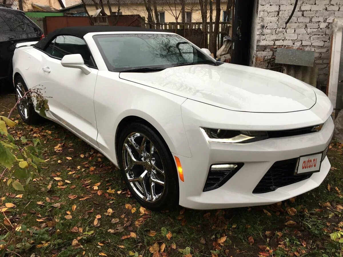 Шевроле камаро купить в россии. Chevrolet Camaro 2016. Шевроле Камаро 2016 белая. Chevrolet Camaro 2016 White. Chevrolet Camaro Cabrio 2016.