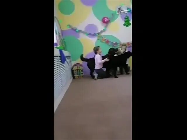 Повеселились на славу