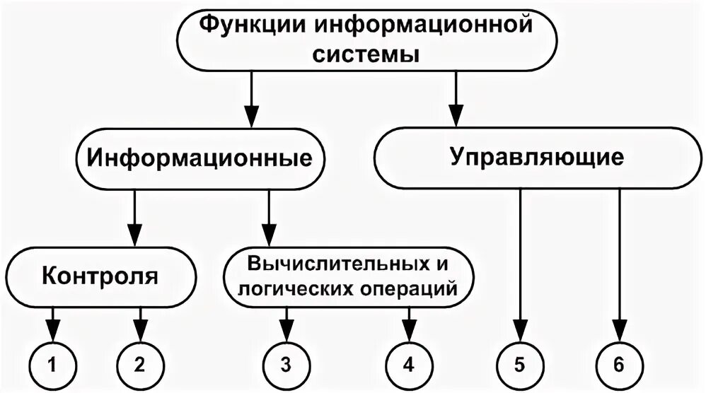 Информационная система состоит