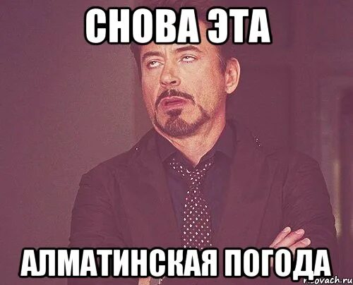 Что опять нытье. Напуганный кот мем. Мем я опять первый это не соревнование. Это снова я мем. И снова здрасте.