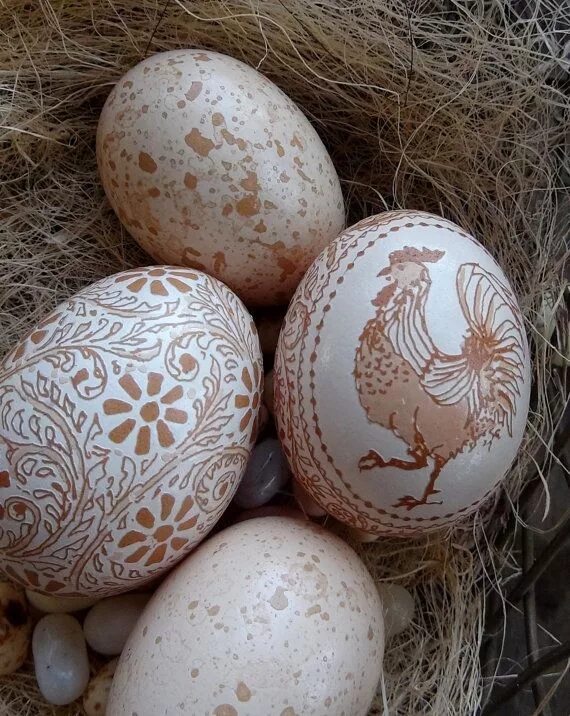 Яйцо куриное диетическое. Huevos de chica cap 3. Яйца куриные в упаковке. Пасхальное яйцо. Яйцо куриное с1 (ячейка 30 шт).