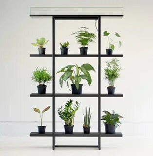 Vertical 1