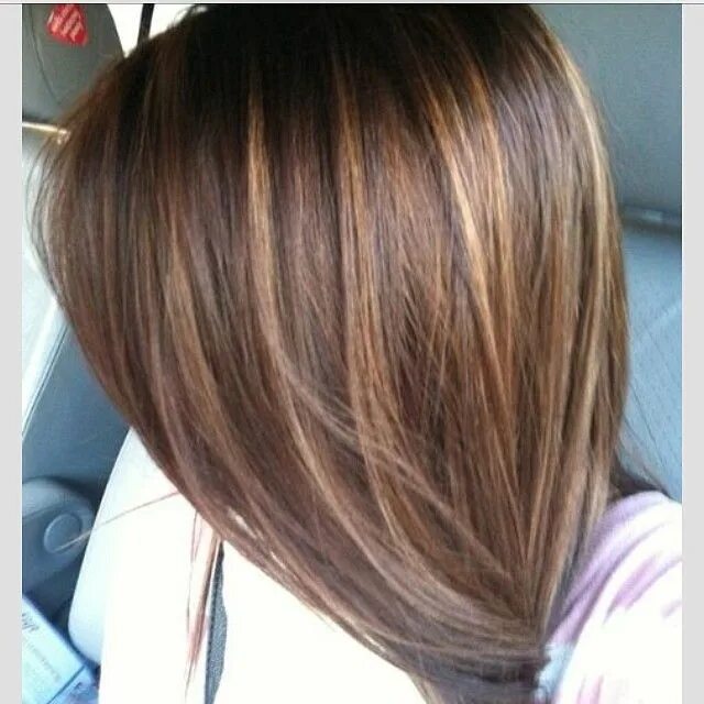 Pin on Sara's hair creations Balayage hair, Hair lengths, Brown blonde hair