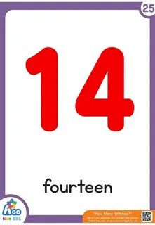 Fourteen