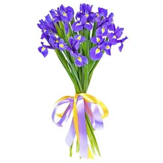 Букет из 9 ирисов