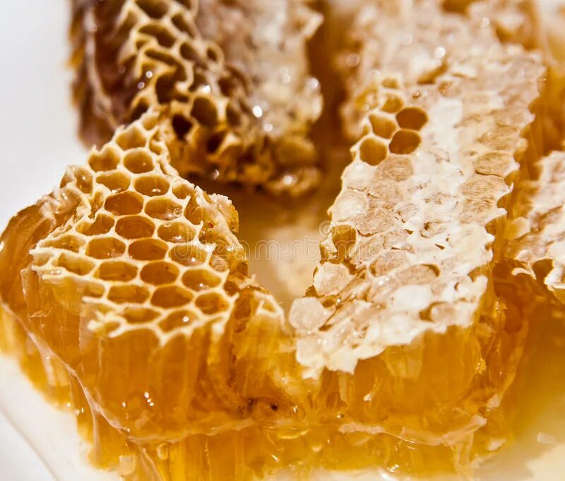 Мед в сотах на тарелке. Соты меда в тарелке. Падевый мед в сотах. Цветочный мед в сотах.