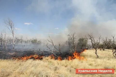 Степной пожар