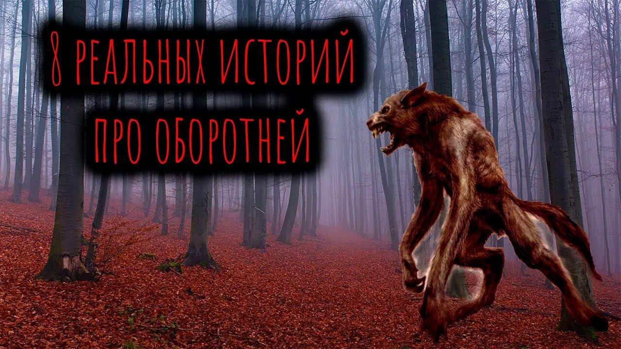 Истории про оборотней слушать. Мистические истории оборотень. страшные истории про оборотней.
