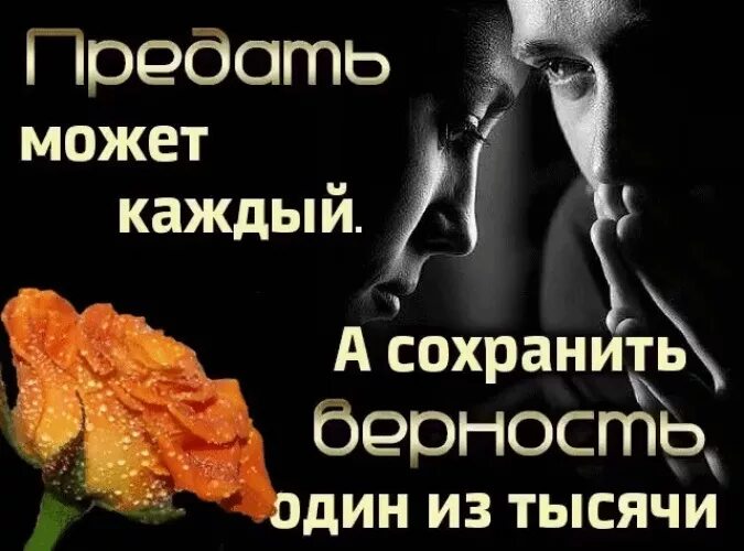 Цитаты про верную любовь. Цитаты про верность. Благодарность за предательство. Преданная любовь. Любовь предателя алена амурская читать