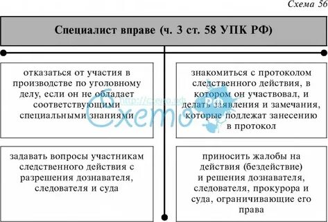 Чем отличается эксперт