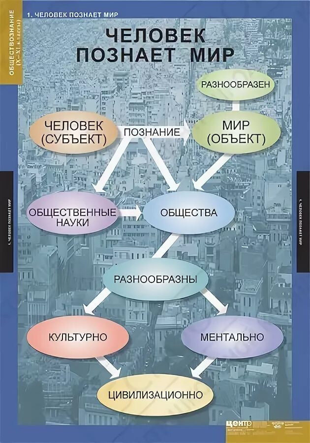 обществознание. наглядное пособие обществознание. человек познает мир таблица. наглядные пособия по обществознанию. наглядные пособия по обществознанию.