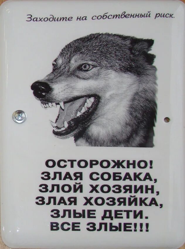 Не держите зла. Чтоб не быть злым. Мужская футболка с надписью я злой. Волки друзья. Ты должен делать добро из зла потому что его больше не из чего делать.