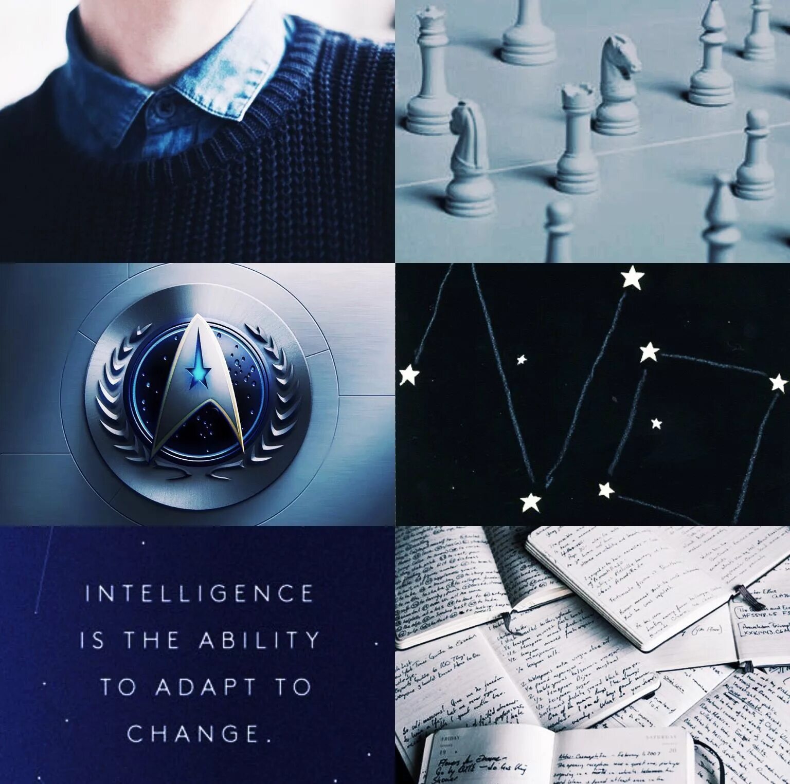 Intelligence is the ability