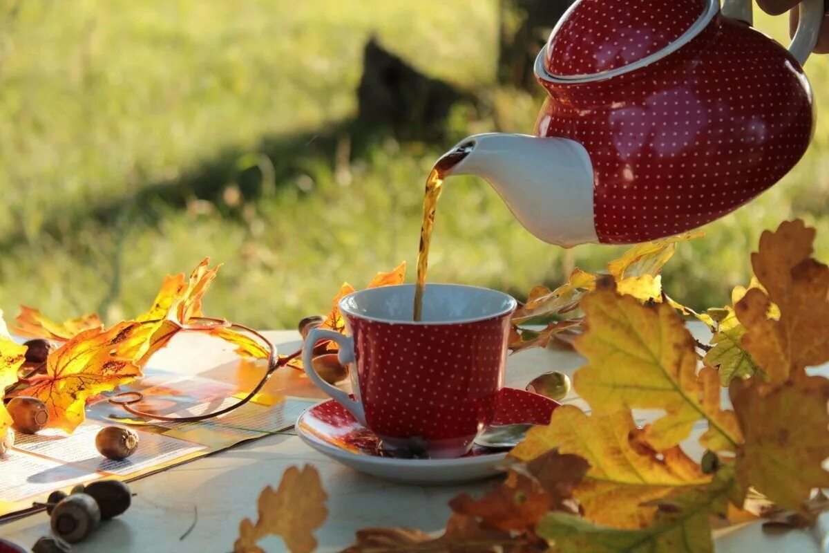 Осеннее утро. Осеннее чаепитие. Прекрасного осеннего утра. Доброе утро осень.