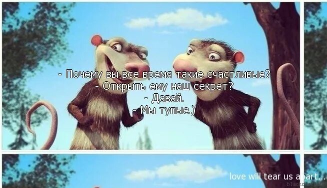 я раскрою твой секрет