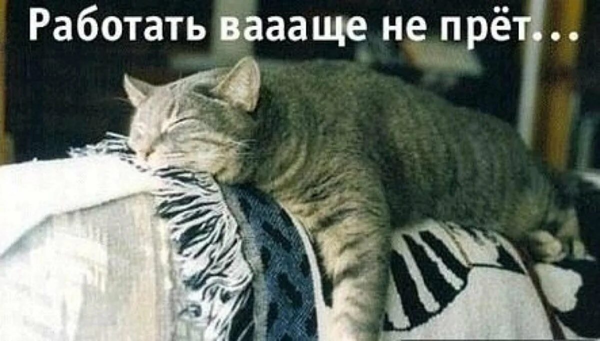 Приколы про работу летом. Хорошо поработать и отдохнуть. Хочу на море прикол. Заставить себя. Хочу работать летом.