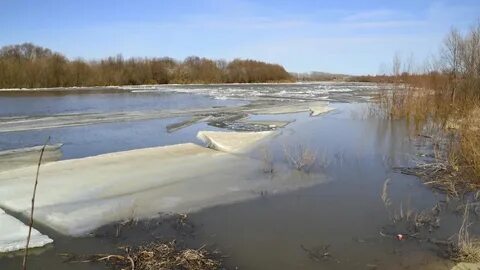 Уровень оки горбатов
