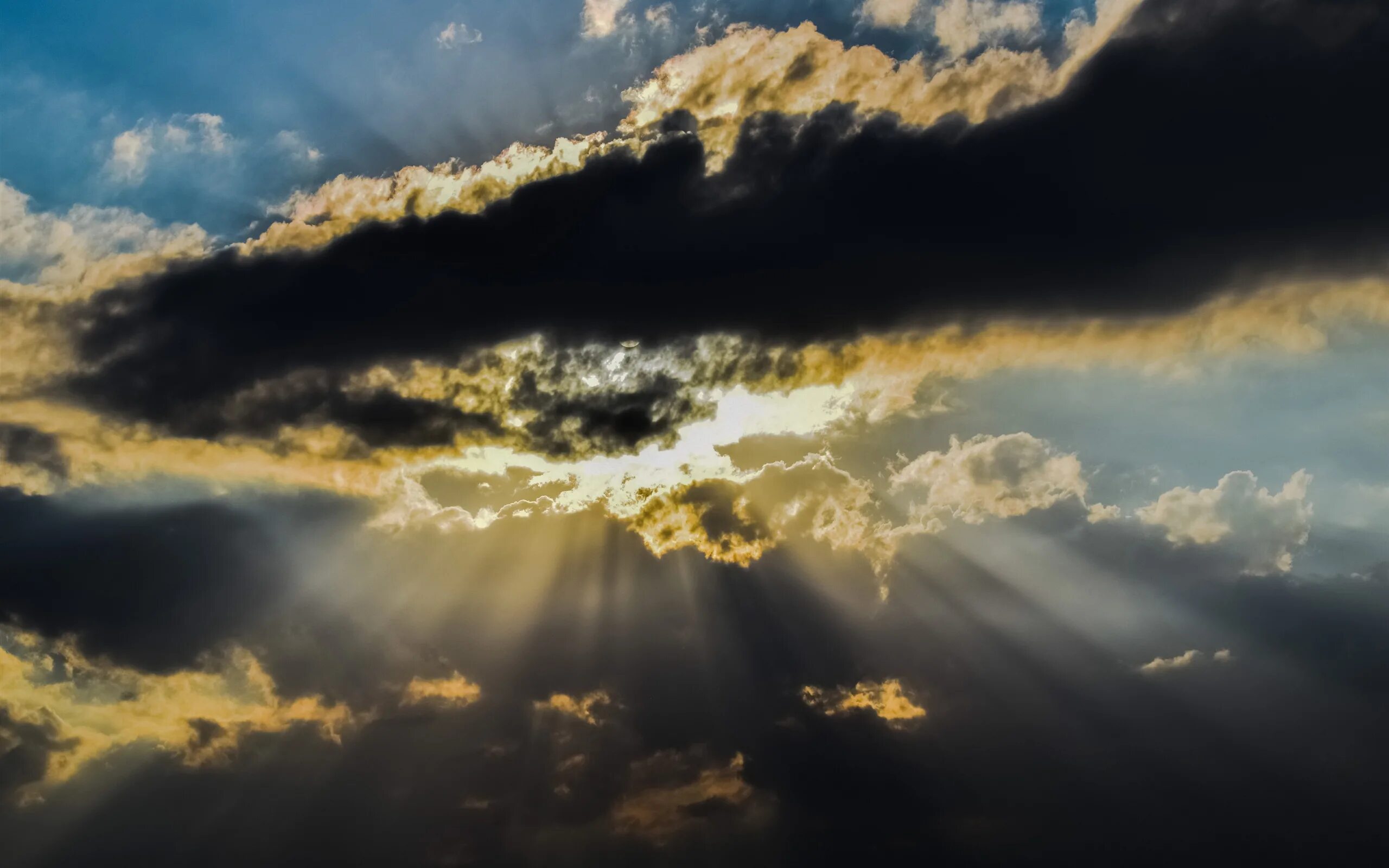 Back cloud