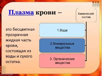 Биологическая плазма