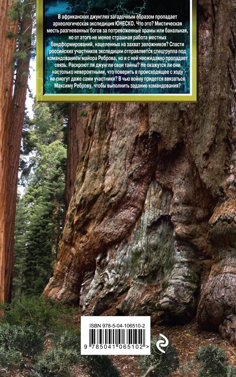 Головачев тайны большого леса. Враги большого леса. Лес бурятии. Глухой лес. Самый большой леса в россии.