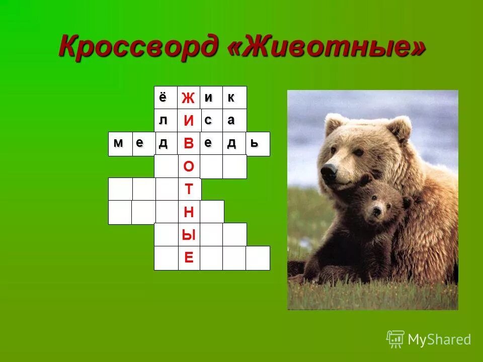 Составьте кроссворд животные. Кроссворд на тему живот. Кроссворд про животных. Кроссворд на тему животные. Кроссворд о природе.