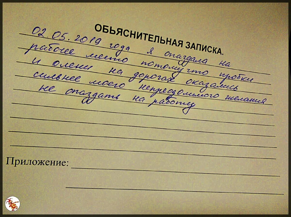 Смешные объяснительные. Смешные объяснительные Записки. Забавные объяснительные. Самые смешные объяснительные. Какие причины можно придумать чтобы не идти