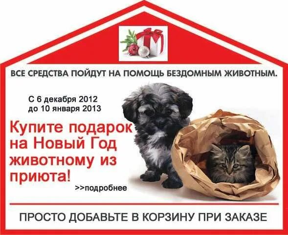 Программа помощи животного. Акция для бездомных животных. помощь приюту для бездомных животных. сбор помощи в приют. сбор помощи бездомным животным.