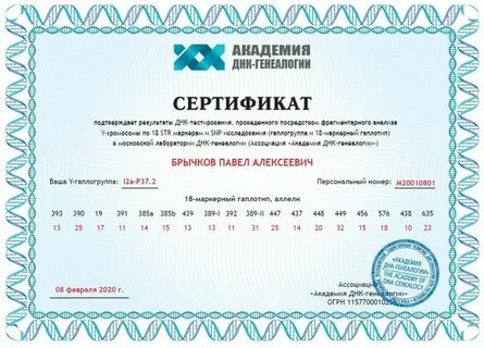 Что такое тест днк