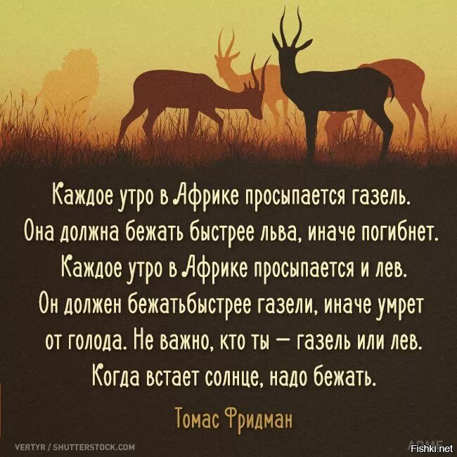 Каждое утро в африке. Каждое утро в Африке просыпается Лев. Каждое утро в Африке просыпается Газель она. Каждое утро надо бежать. Когда встает солнце надо бежать.