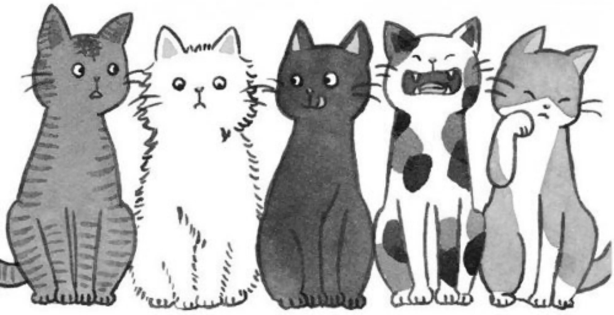 Подбери кота