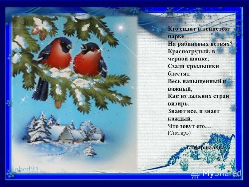 7 загадок про зиму. Загадки про зиму. зимние загадки для детей. зимние стихи и загадки. загадки про зиму для детей.