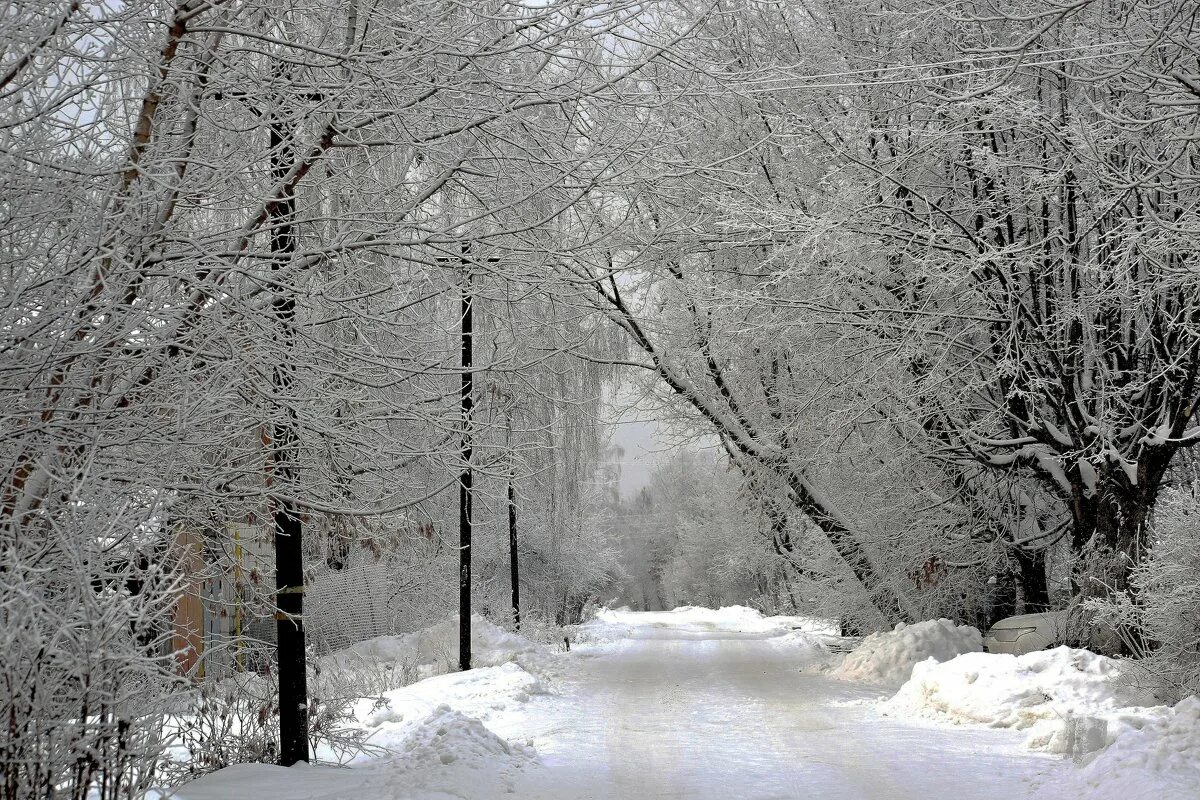 Бутылка шампанского в снегу. Шампанское в снегу. Слушать песню я закопал шампанское под снегопад. Свежевыпавший снег картинки. Слушать песню я закопал шампанское под снегопад.