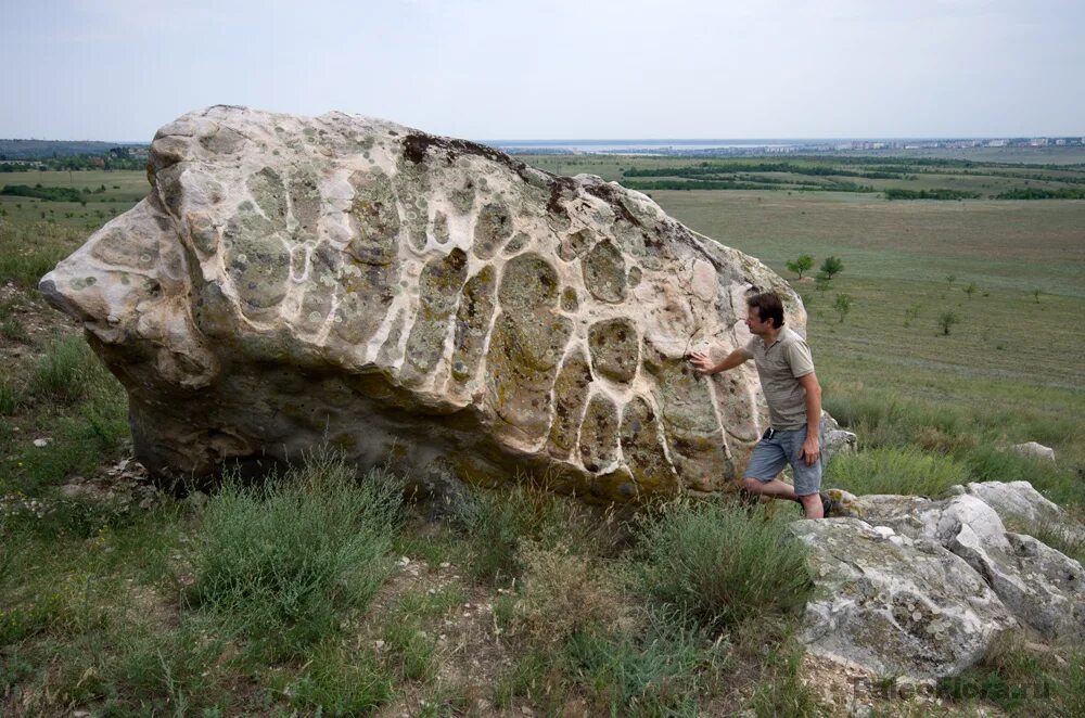 Село лбу и. Горы уши Волгоградская область. Камышинские горы уши. Горы уши Камышин. Горы уши Камышинский район.