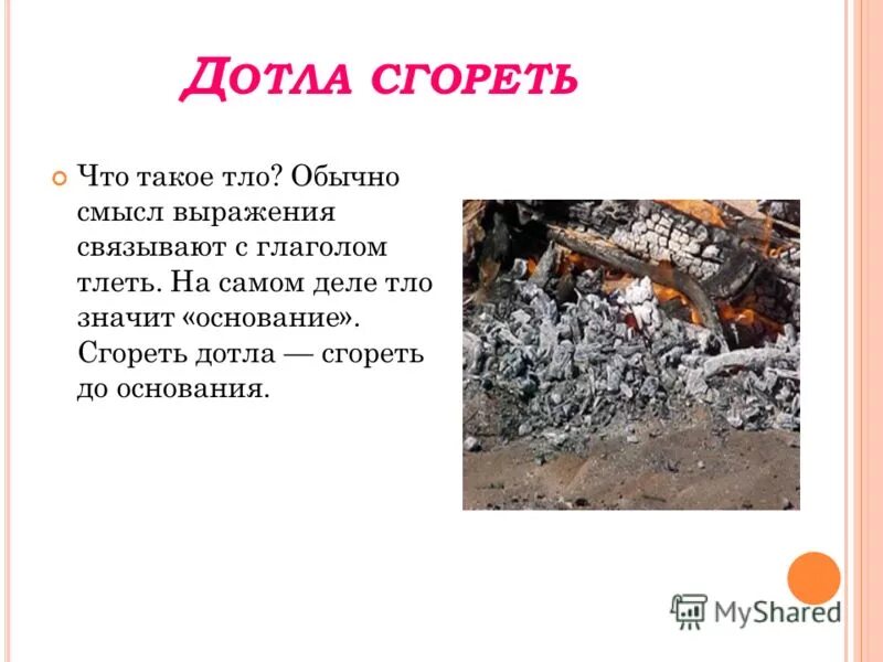 сжечь дотла. сгореть до тла. до тла как пишется.